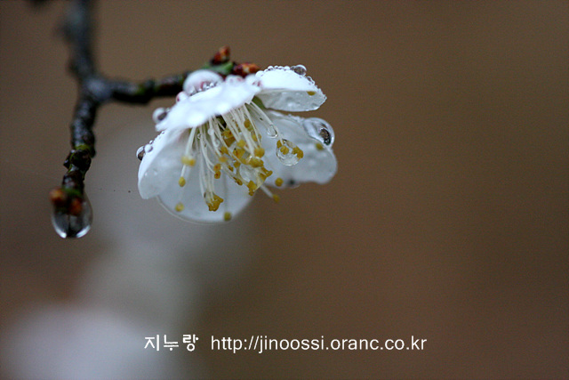 IMG_8690.jpg