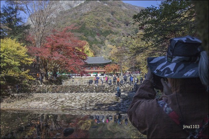 인증-7731.jpg