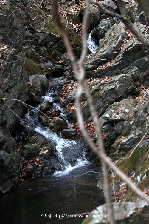 IMG_9079.jpg