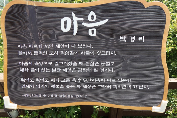 아마릴리스통영-1030481.jpg