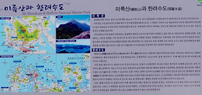 아마릴리스통영-1030497.jpg
