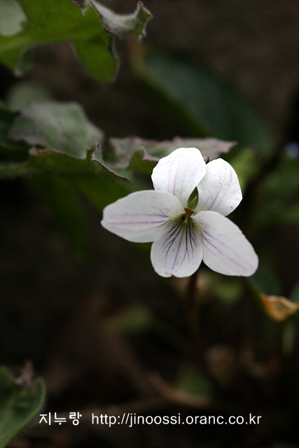 IMG_9711.jpg