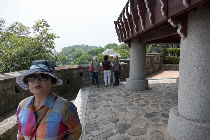 아마릴리스촉석문-1030426.jpg