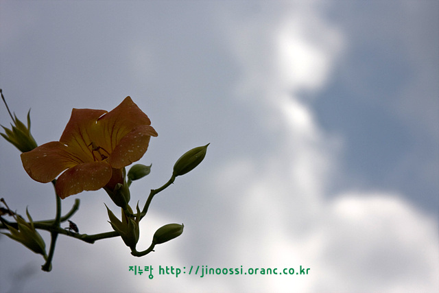 IMG_1726.jpg