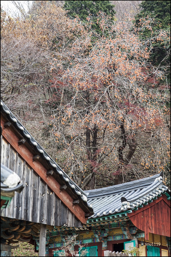 산감-0059.jpg