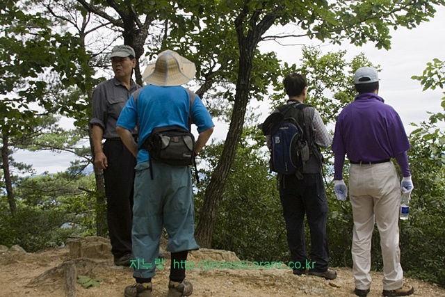IMG_2394.jpg