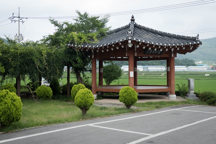 아마릴리스꽃무룻사정-1030706.jpg