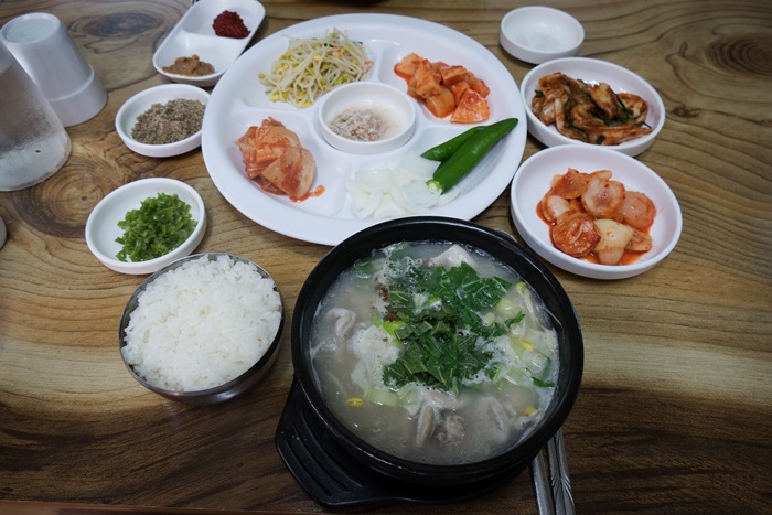 아마릴리스꽃무룻사정-1030720.jpg