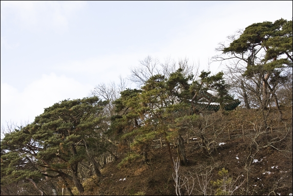 pano31IMG_4183.jpg