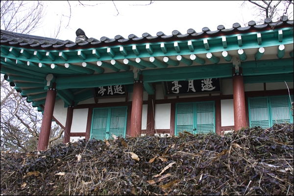pano31IMG_4189.jpg