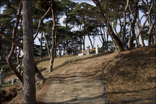 pano31IMG_4192.jpg
