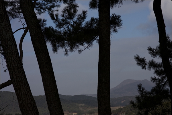 pano31IMG_4193.jpg