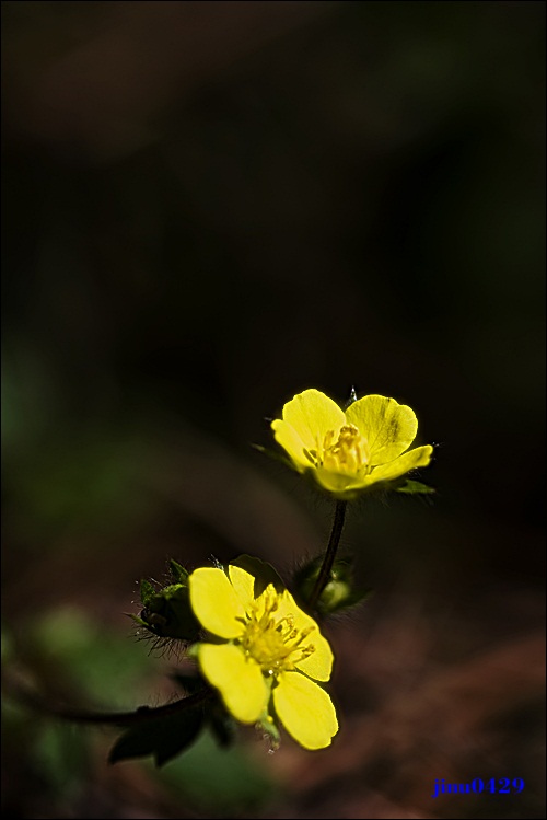 _MG_5911.JPG