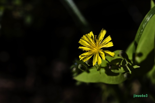 _MG_6402.JPG