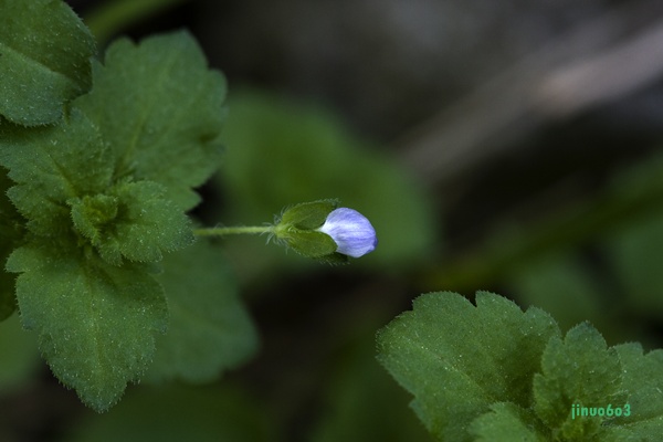 _MG_6404.JPG