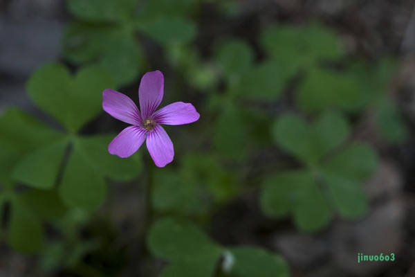 _MG_6409.jpg