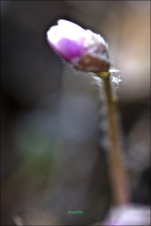_MG_4644.jpg