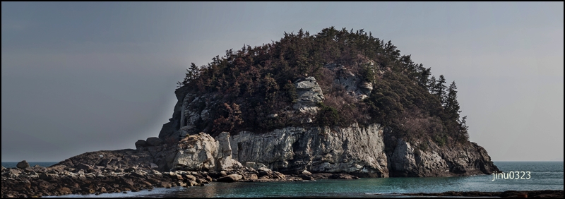 증도파노.jpg
