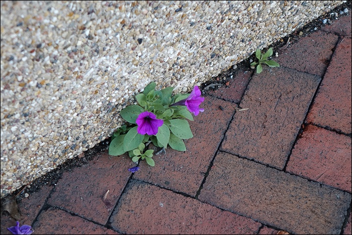 생명-08725.jpg