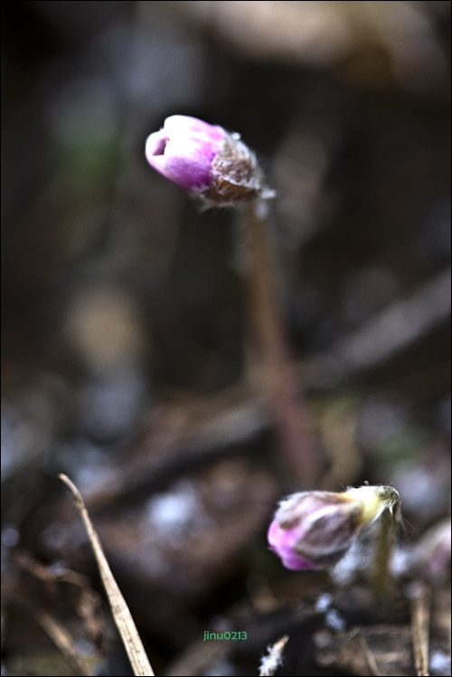 _MG_4640.jpg