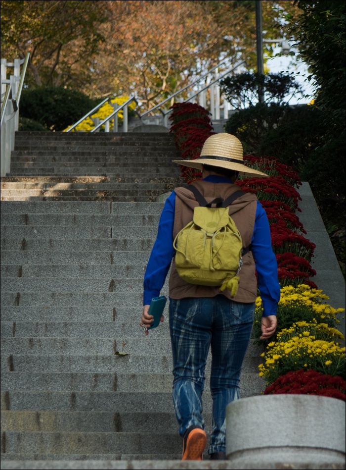 장성공원-09455.jpg