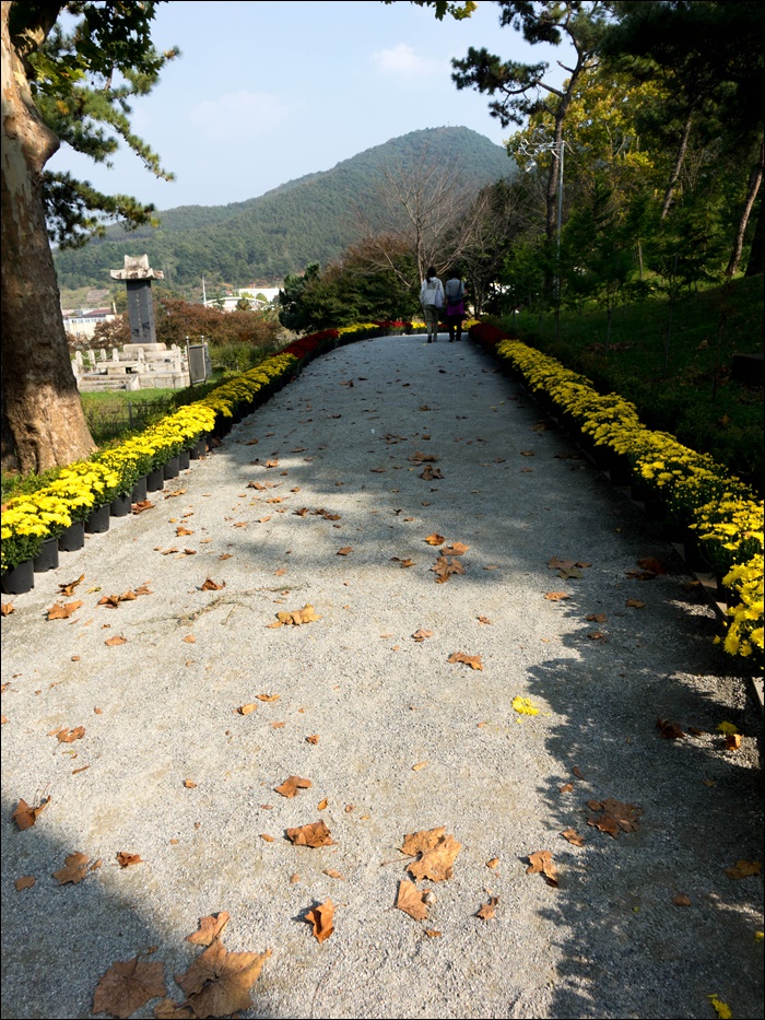 장성공원-09460.jpg