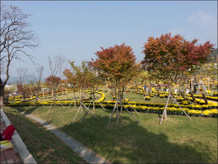 장성공원-09466.jpg