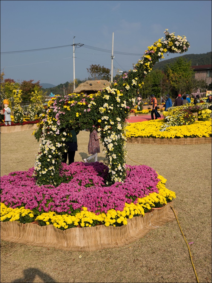 장성공원-09487.jpg