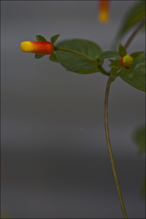 pano31_MG_4199.jpg