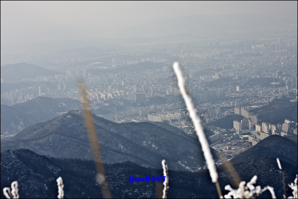 _MG_4375.jpg