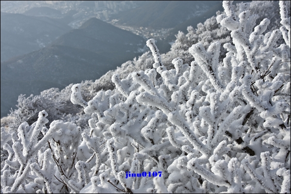 _MG_4423.jpg