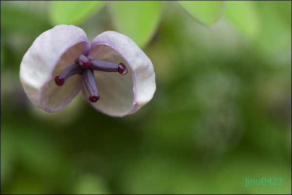 _MG_5831.JPG