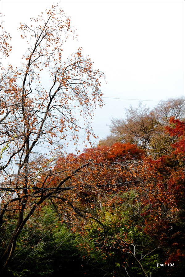 문수사산감-1219.jpg