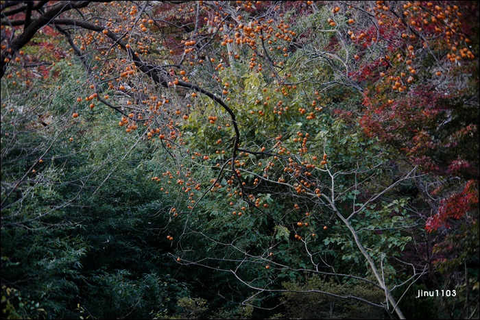 문수사산감1-1221.jpg