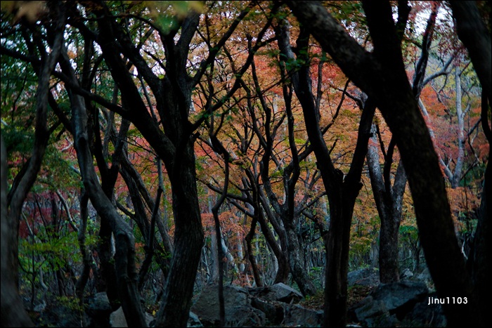 문수사2-1214.jpg