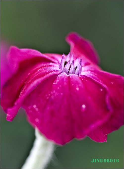_MG_6656.JPG