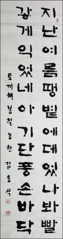 아기단풍.jpg