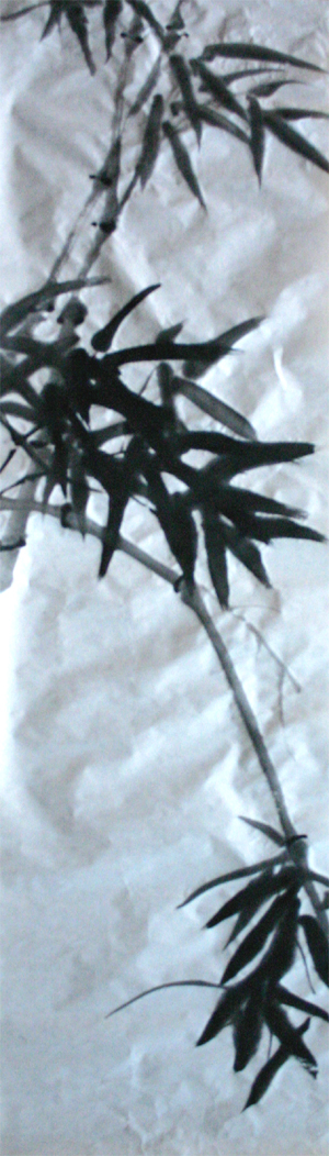 bamboo1.jpg