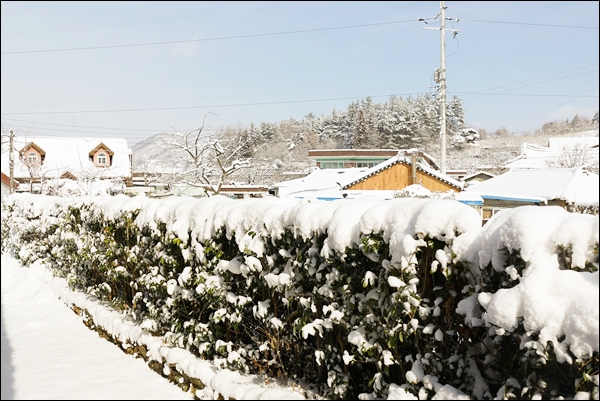 눈-1070967.jpg