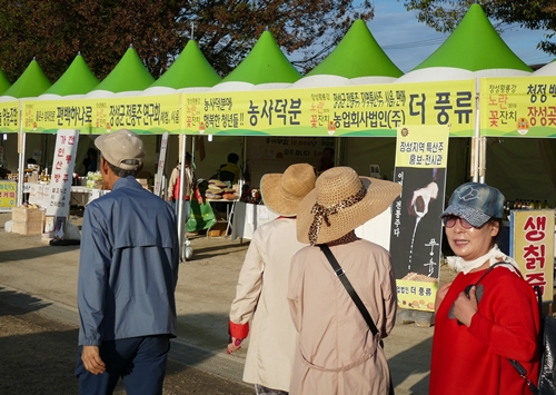 돼지삼형제-1100641.jpg
