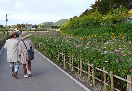 돼지삼형제-1100634.jpg
