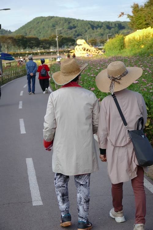 돼지삼형제-1100636.jpg