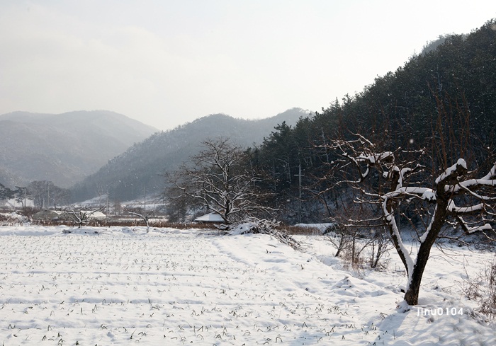 골짜기-1971.jpg