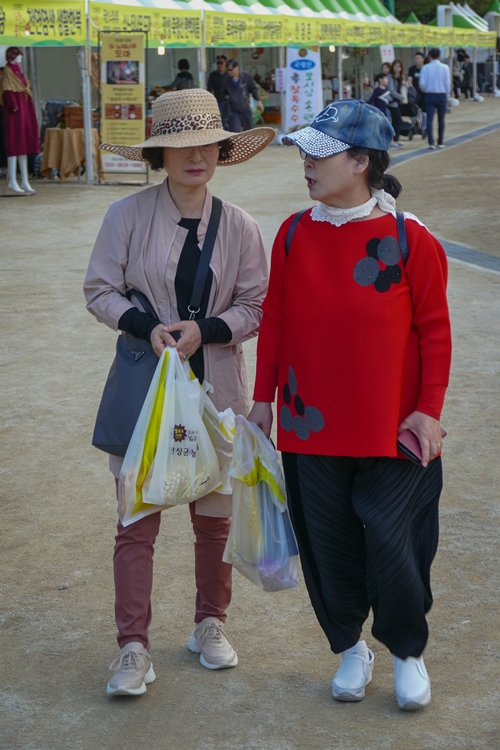 돼지삼형제-1100654.jpg