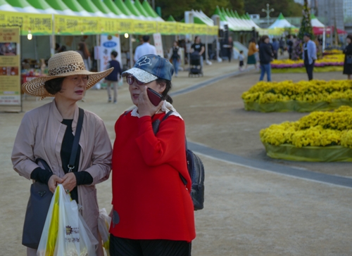 돼지삼형제-1100652.jpg