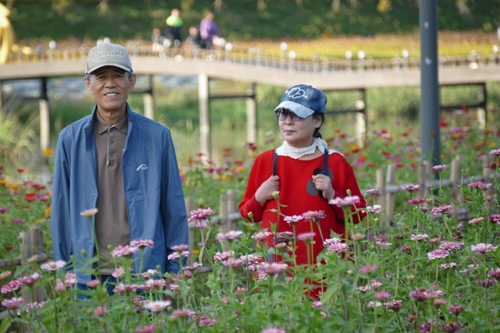돼지삼형제-1100637.jpg