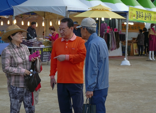 돼지삼형제-1100653.jpg