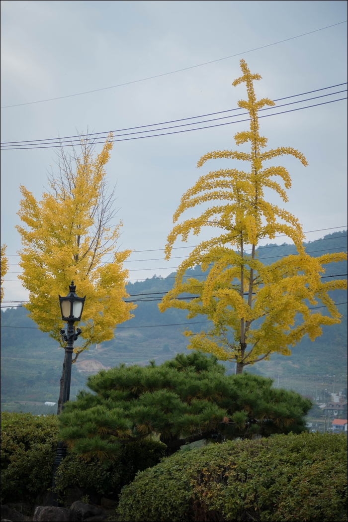 소수서원-1070423.jpg
