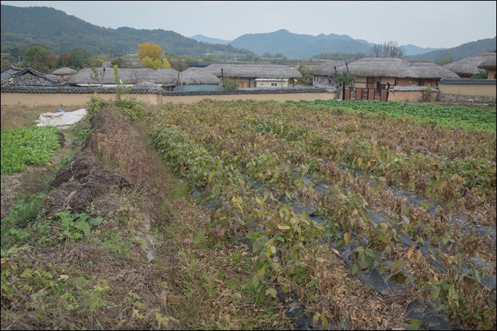 하회마을-1070491.jpg