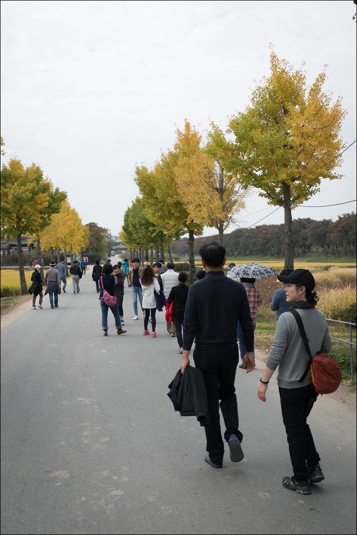 길하회마을-1070474.jpg